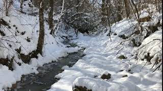 Snowy Mountain Creek
