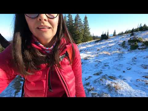 Tură de o zi la Păltiniș (Munții Cindrel, ianuarie 2023)