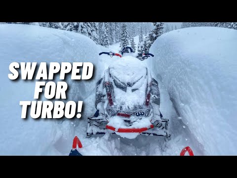 146 Was A Bad Idea - Day 59