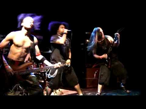 PI 2011- SYLO