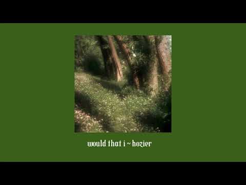 would that i ~ hozier {sped up}