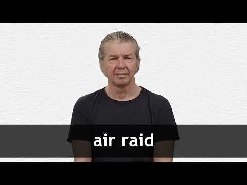 RAID definition and meaning