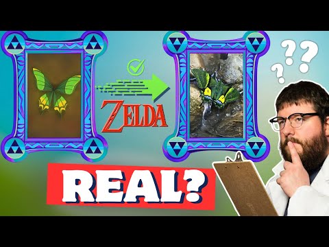 How Many Bugs in Zelda are Actually Real? (It's more than you think!)