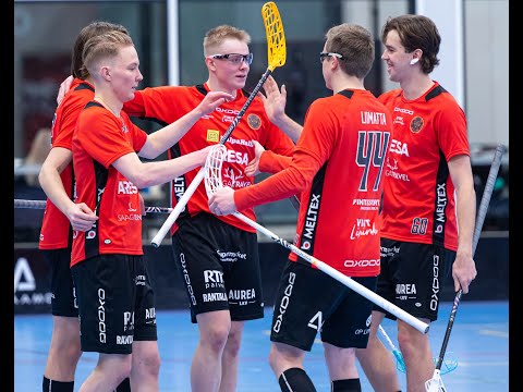 Maalikooste Steelers–LNM 5-9 (Inssi-Divari)