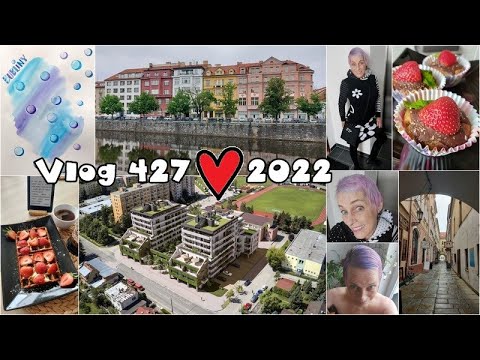 Vlog 427/22 - vafle, muffiny, bubliny a Budějce