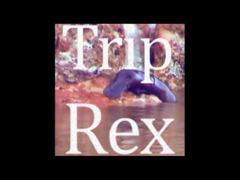 Platypus - Trip Rex (MF Doom Remix)
