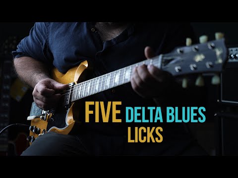 5 'Delta Blues' Licks | Delta Blues guitar Lesson