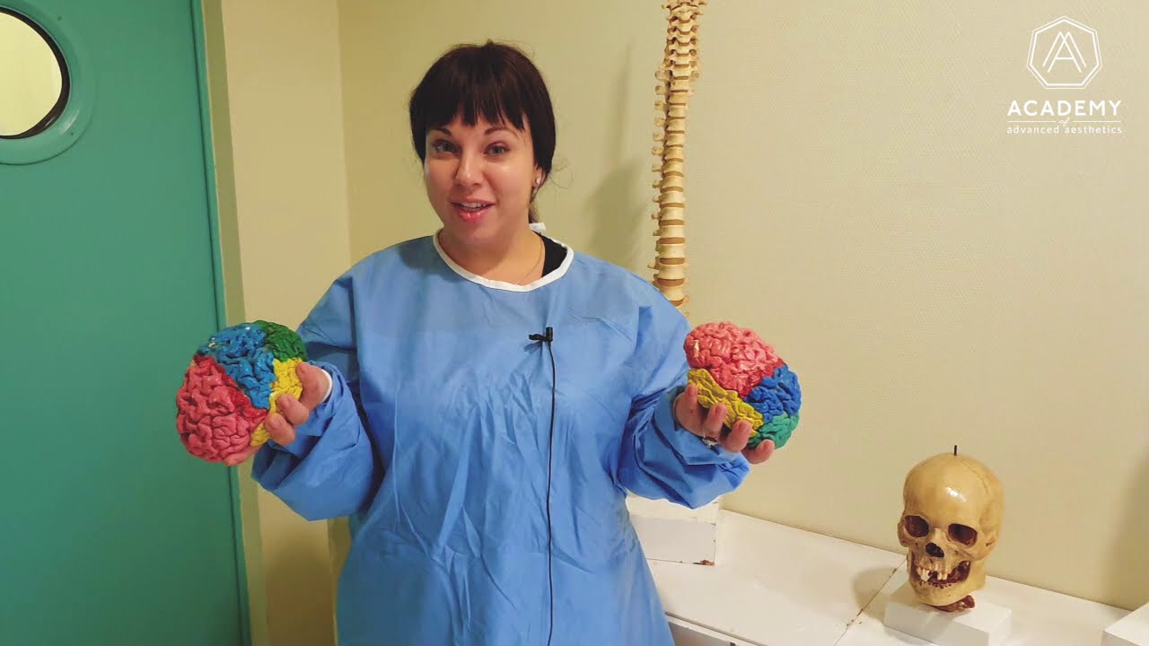 Интенсивный кадавер курс Аликанте, Испания