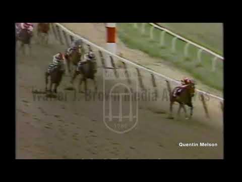 Pleasant Colony Defeated by Summing in Bid for Triple Crown (June 5, 1981)