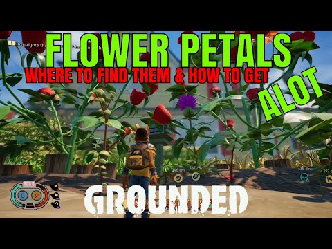 FLOWER PETALS - Where to FIND & HOW to get ALOT - Grounded