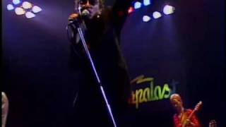 Graham Parker and the Rumour - Endless Night