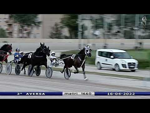 Aversa trotto 16 Aprile 2022 - 3° Corsa