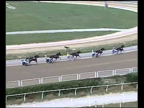 Trotto 18/09/2014 - 1° prova di qualifica