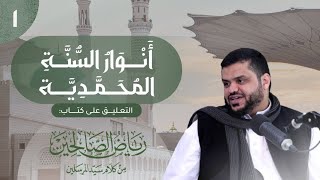 صورة أنوار السنة المحمدية | أحمد السيد