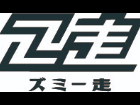 3月11日　ズミー走