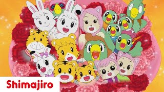 I Love You, Mom | Mother's Day | Family | Kids video for Kids | Shimajiro