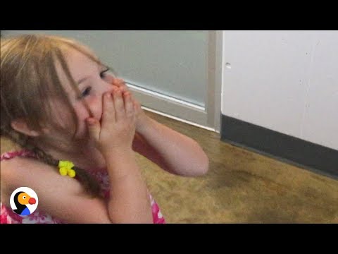 Girl Reunited With Her Lost Cat After 3 Years  | The Dodo