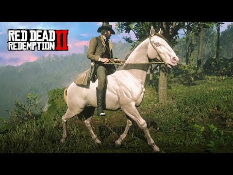 Taming the Andalusian Perlino - John Marston's Farm - Red Dead Redemption 2