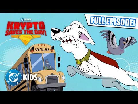 School Bus Scuffle! 🚌 🐦 | FULL EPISODE  @dckids