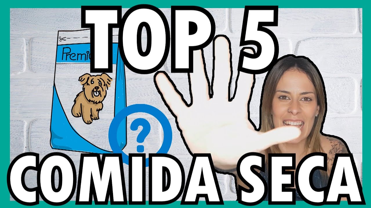 LOS MEJORES PIENSOS PARA PERROS 💯 | TOP 5️⃣ de comida SECA para PERROS 🐶