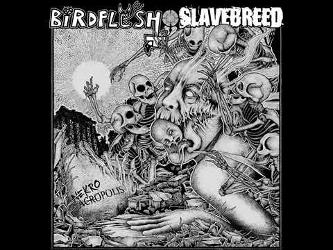 BIRDFLESH / SLAVEBREED - Nekroacropolis EP (2015)