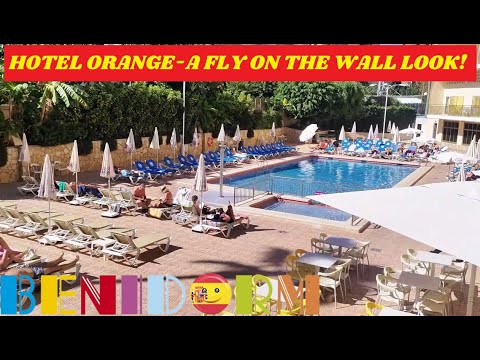 Benidorm's HOTEL ORANGE ON THE SQUARE!🏨☀️🍊Fly On The Wall Look!🥳🪩💃🏻Perfect 4 Party People! #benidorm