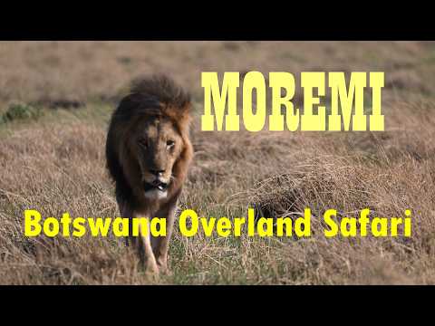 Botswana 0verland safari part 1