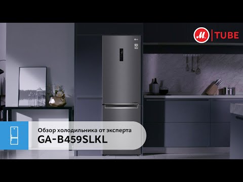 LG GA-B459SLKL Gray