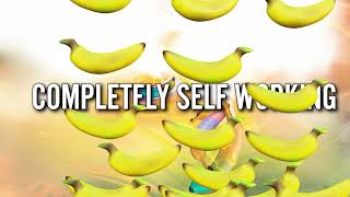 BANANAS! by Apprentice Magic