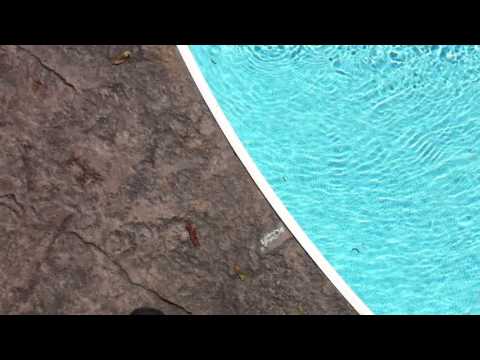 How To Measure A Pool Safety Cover