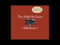 They Might Be Giants I Palindrome I