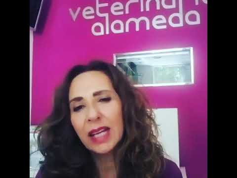 Ana - Veterinaria Alameda