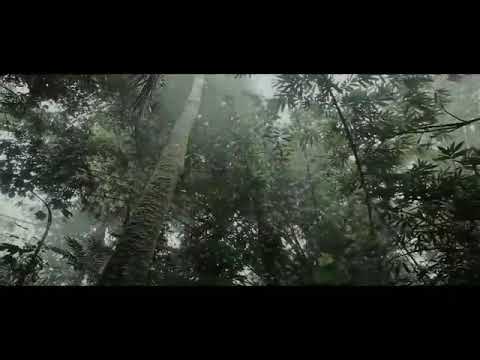 Cover Durma lan rajapala