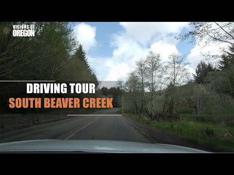Exploring Oregon Coast Back Roads | South Beaver Creek.