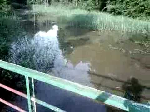 Video 13 aus 2009