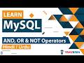 MySQL AND OR NOT Operators Tutorial In Hindi Urdu