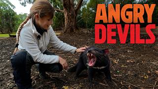 We Rode Our Motorcycle To Meet Tasmania’s Angry Devils