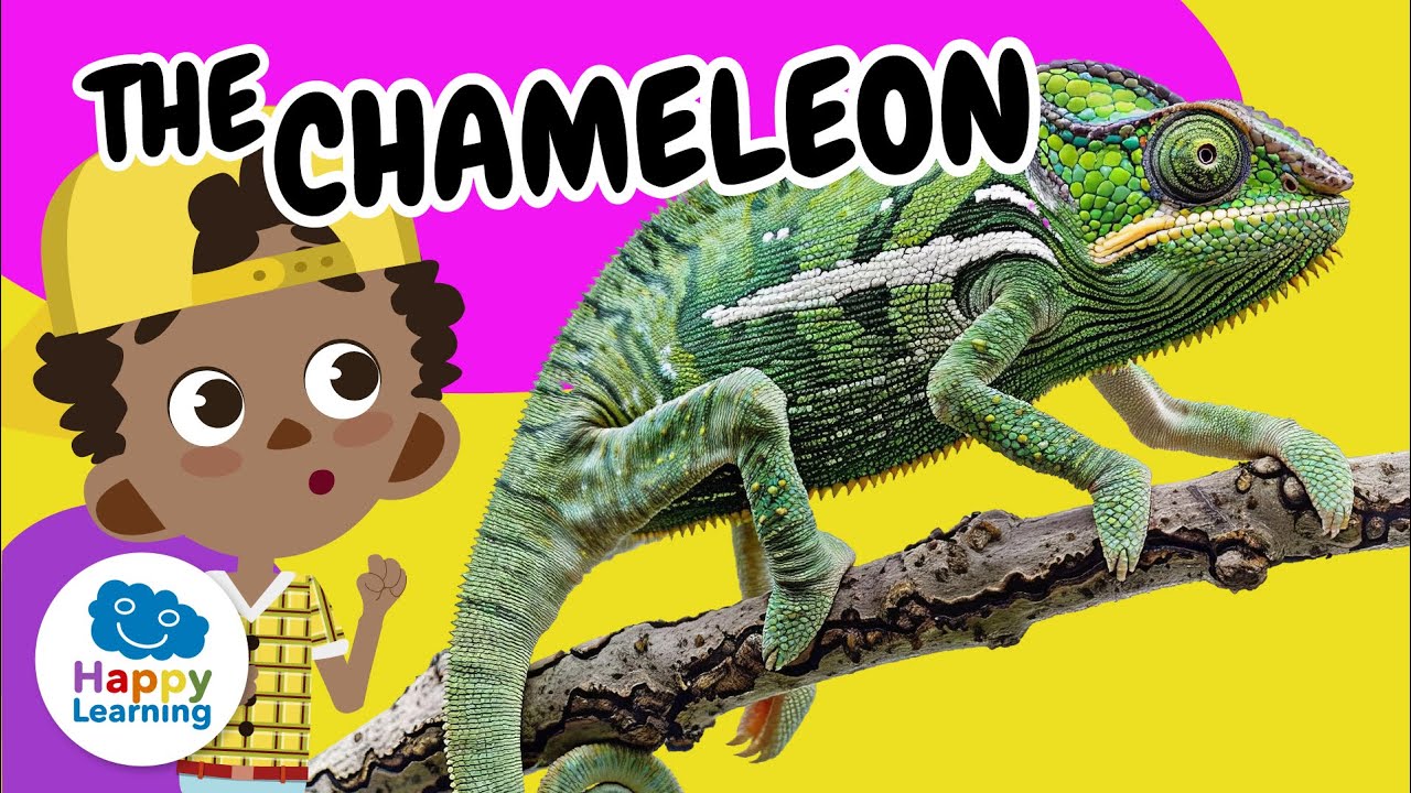 🦎 CHAMELEON: Why Does It CHANGE COLOR? | Educational Videos for Children | @HappyLearningENG