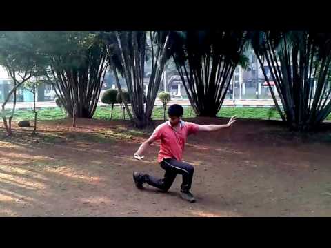 Shraddhanshu Shekhar Tai Chi