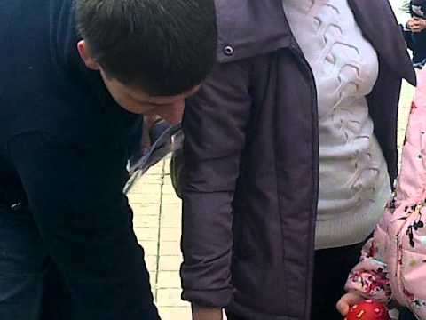 Белгородцы забрали с выставки 24 бездомных собаки