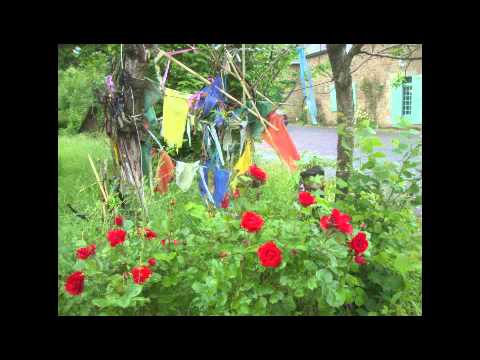 Richard Nicholson - "In a merry May morn" - David Cordier