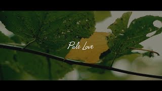 AK & Faodail - Pale Love