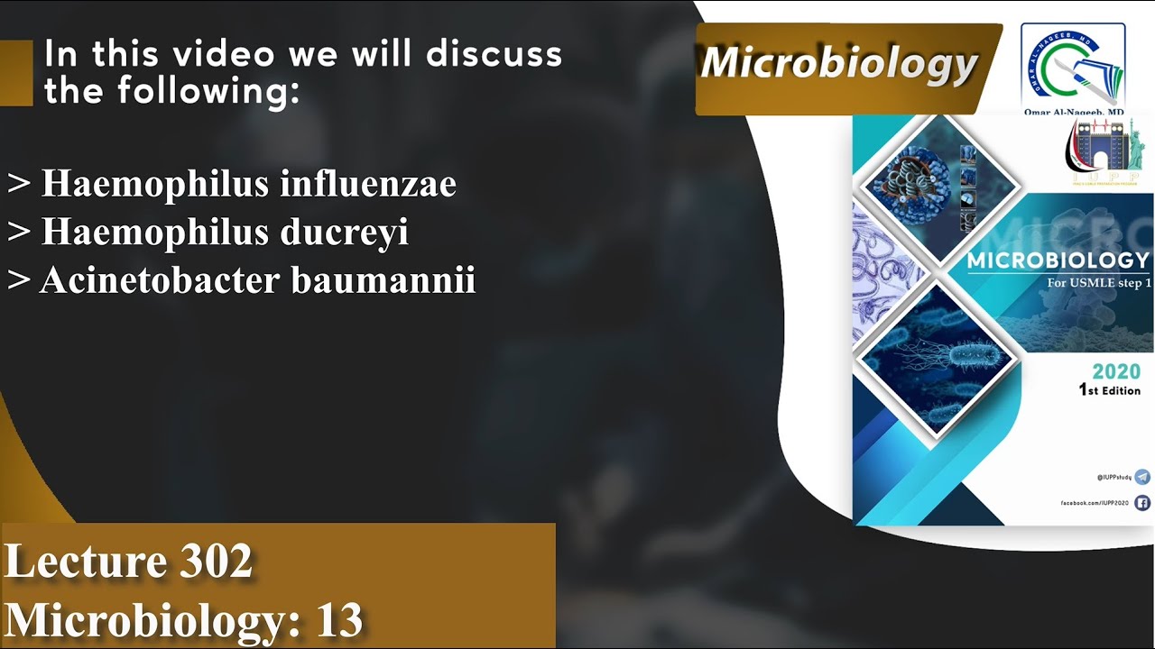 Haemophilus influenzae | Haemophilus ducreyi | Acinetobacter baumannii