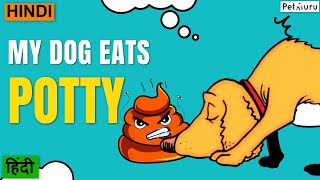 My dog eats its own poop potty! Do this to stop this immediately!