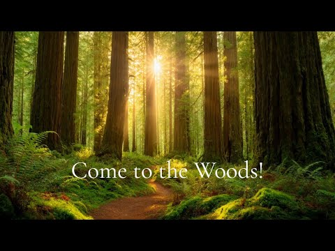 John Muir ~ Come to the Woods!  (Video)
