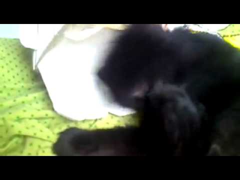 Blucky is reading a book  woww