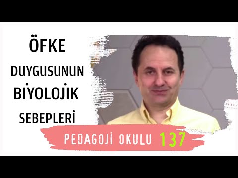 Pedagoji Okulu 137 - Öfke Duygusunun Biyolojik Sebepleri