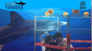 DIA 2 Expo Tiburon14