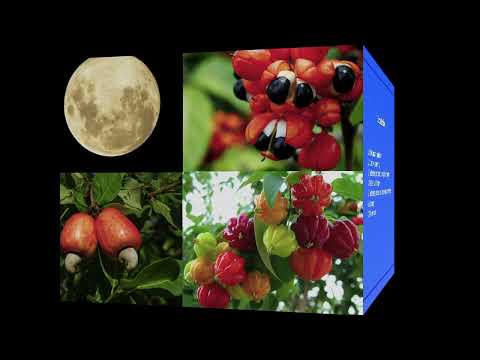 QBio Program: Paulo Guimarães: Community ecology and biodiversity - Class 1