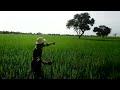 Shamba La Nelemi Mbasando